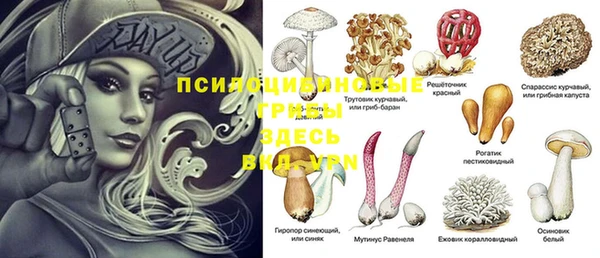 МДМА Белокуриха