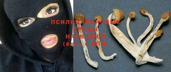 кристаллы Богданович